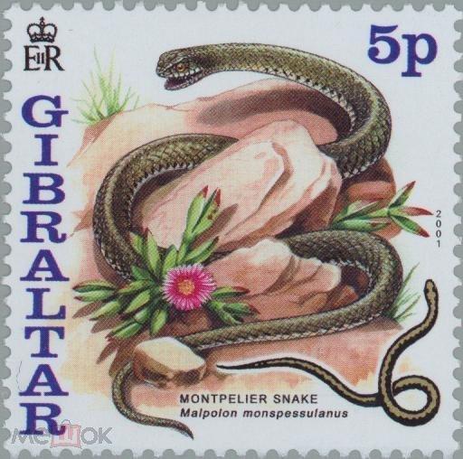 Гибралтар 2001 Фауна(рептилии) №мих 955/61-200руб 4
