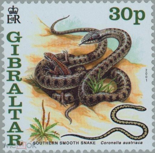 Гибралтар 2001 Фауна(рептилии) №мих 955/61-200руб 5