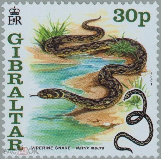 Гибралтар 2001 Фауна(рептилии) №мих 955/61-200руб 6