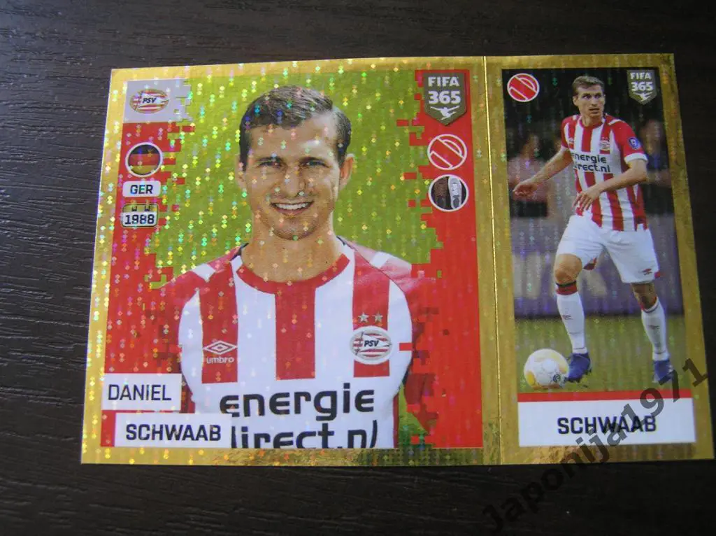 Наклейка Panini FIFA 365 : Daniel Schwaab ( PSV EINDHOVEN , Nederlands )