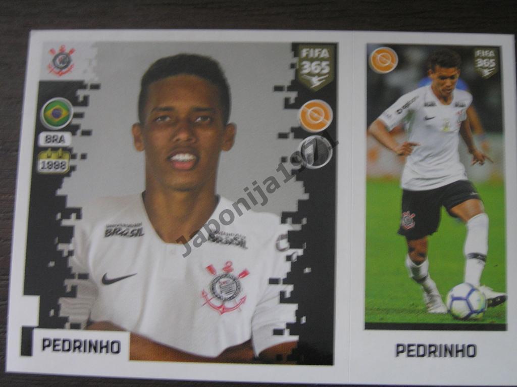Наклейка Panini FIFA 365 : Pedrinho ( Corinthians , Brazilian )