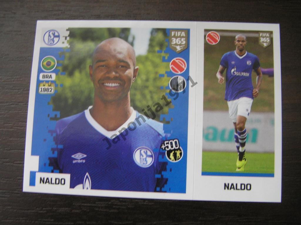 Наклейка Panini FIFA 365 : Naldo ( Schalke 04 , Germany )