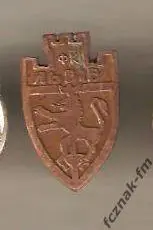 ФК Львов ДСО ФК старый знак раритет