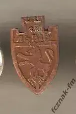 ФК Львов ДСО ФК старый знак раритет