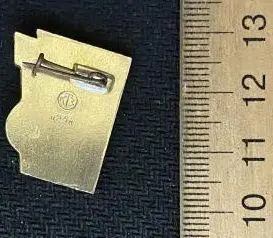 Динамо Киев футбол футбольный клуб ФК ДСО 1971 1