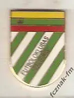 ФК Жальгирис Вильнюс Литва FC Zalgiris Vilnius Lithuania