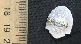 Динамо Тбилиси ФК ДСО футбол футбольный клуб 1 1