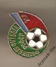 ФФ РСФСР ДСО ФК старый знак раритет