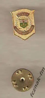 Хоккей Федерация хоккея КАНАДА Онтарио эмаль клеймо отличный оригинал