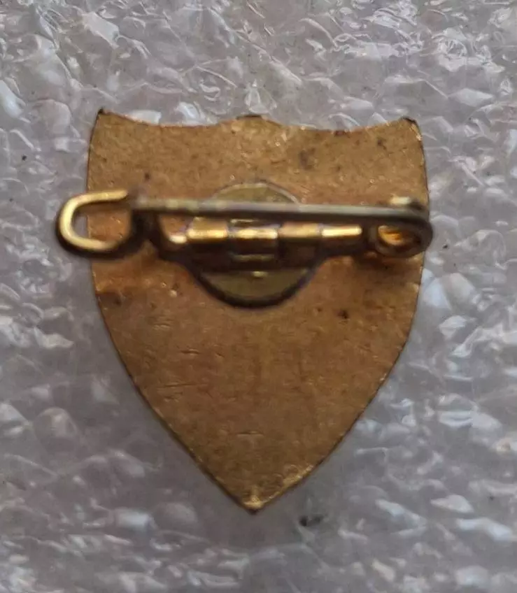 VV Patro Eisden Maasmechelen Belgium ВВ Патро Ейсден Бельгия оригинал булавка 1