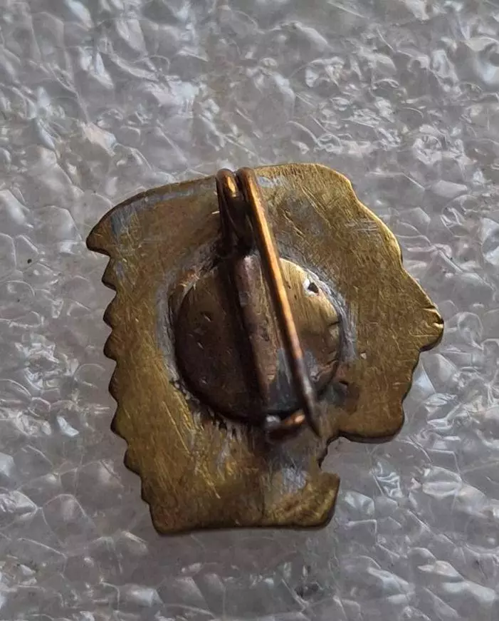 ARA La Gantoise de Gand Belgium АРА Гент Бельгия люкс эмаль оригинал ВЛ1919-1971 1