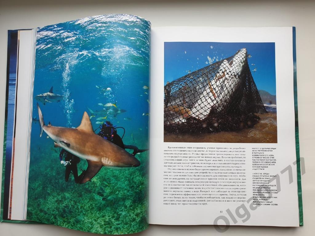 Роуз/Лейкинг Океаны. Тайны подводного мира (Эксмо 2010, 240 страниц) 4