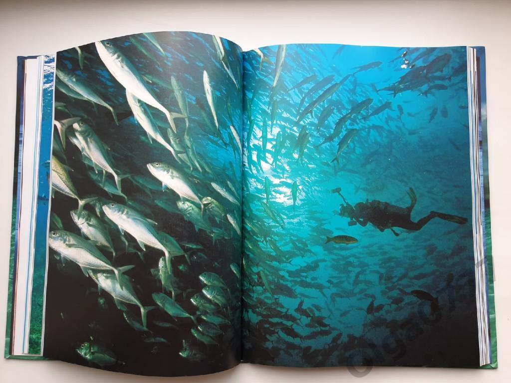 Роуз/Лейкинг Океаны. Тайны подводного мира (Эксмо 2010, 240 страниц) 5