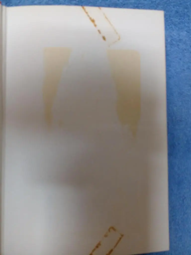 Братья Эспозито Книга Хоккей НХЛ 70-х Канада, США Фил Эспозито и Тони Эспозито 2