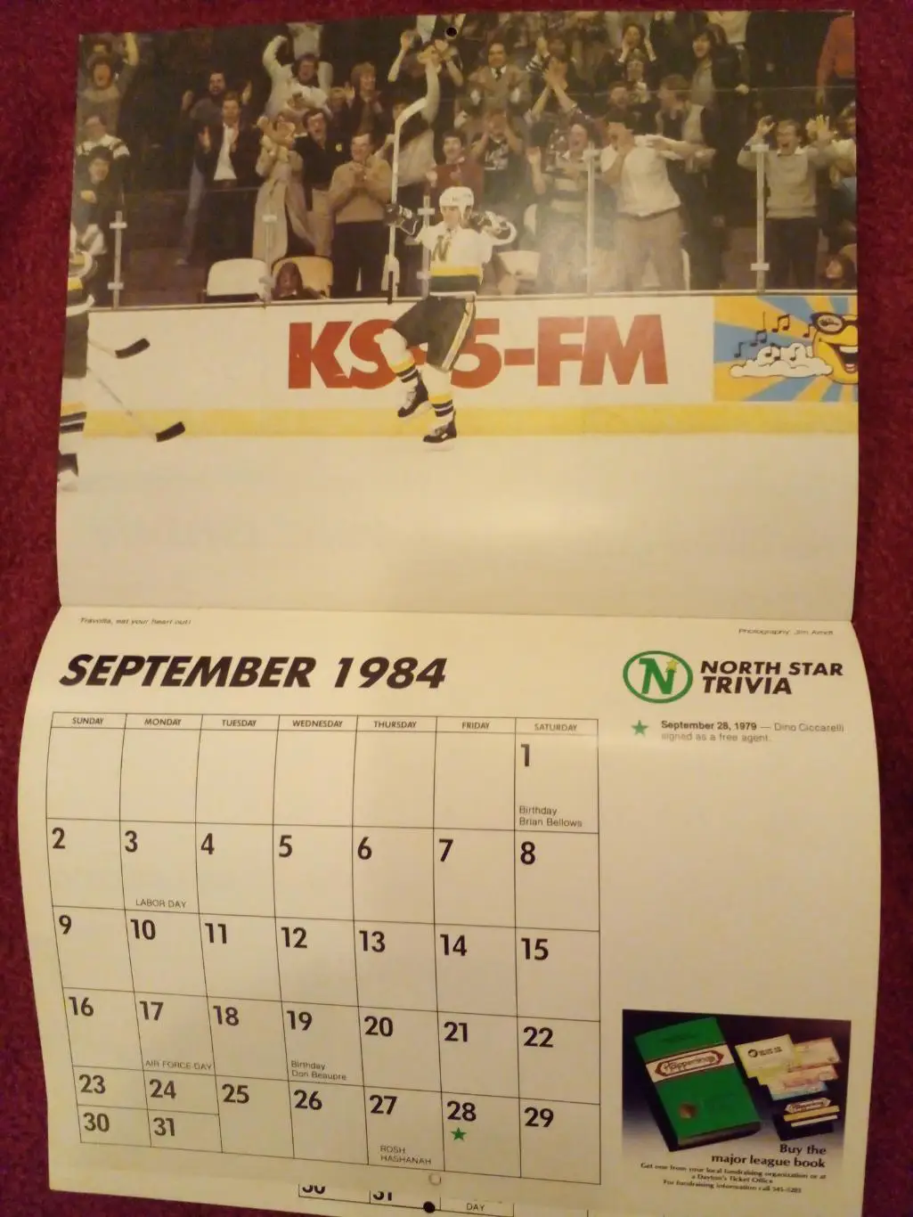 Миннесота Норт Старз НХЛ Перекидной настенный календарь 1983-84 хоккей 4