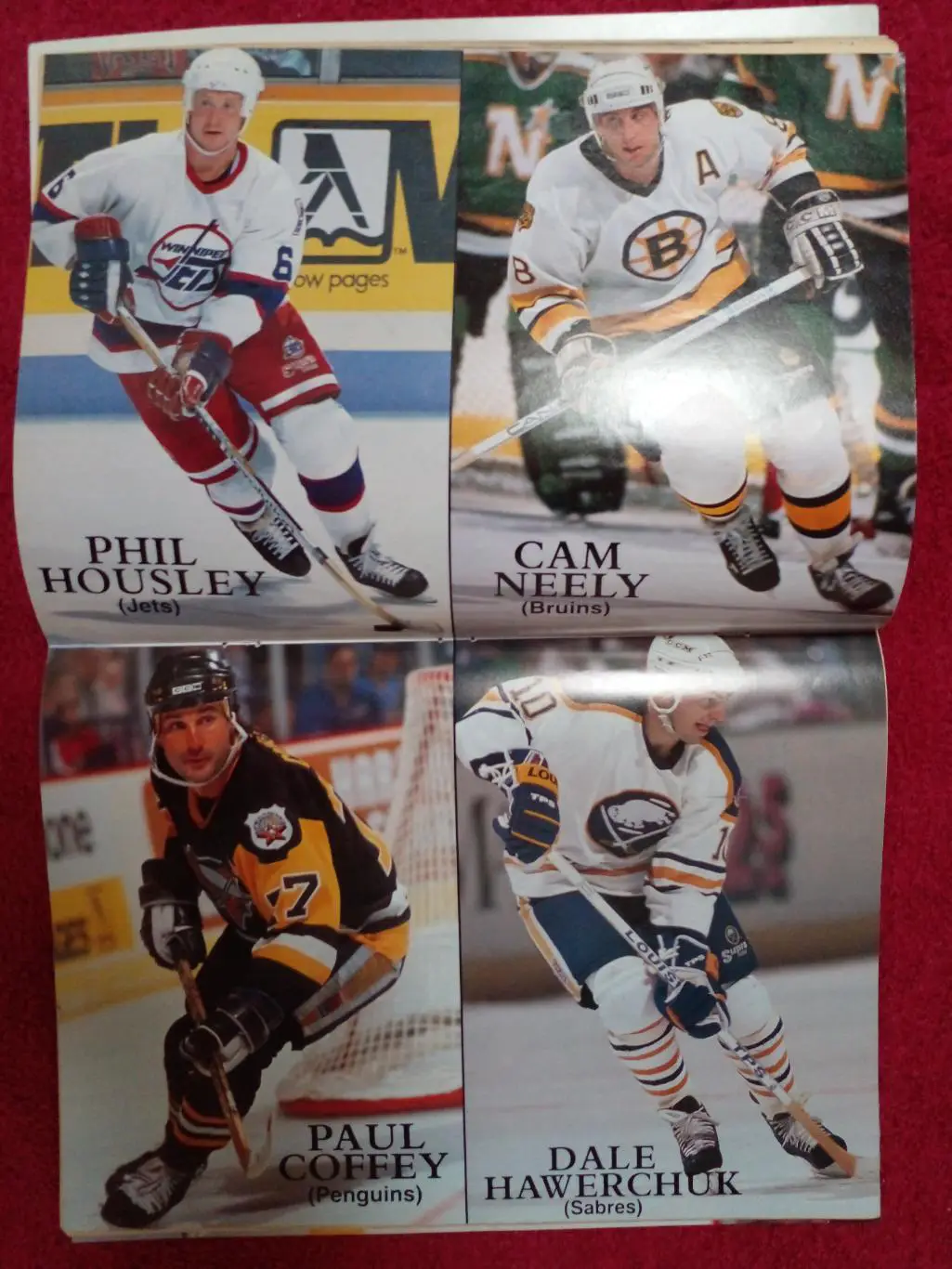 Журнал HOCKEY ILLUSTRATED 1991 Хоккей НХЛ 2