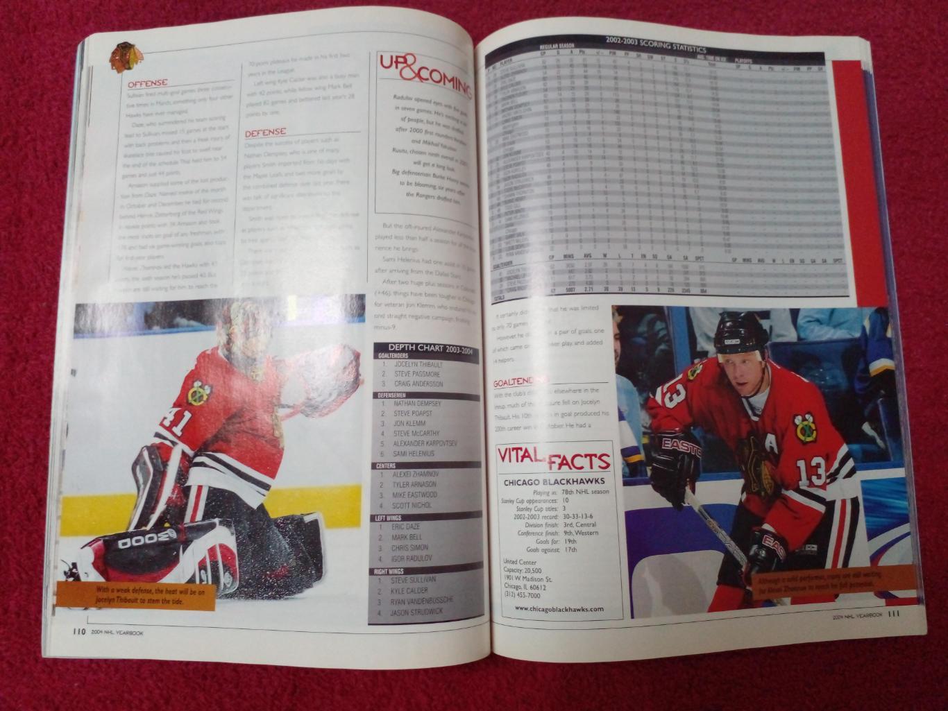Ежегодник-справочник Хоккей НХЛ 2004 3