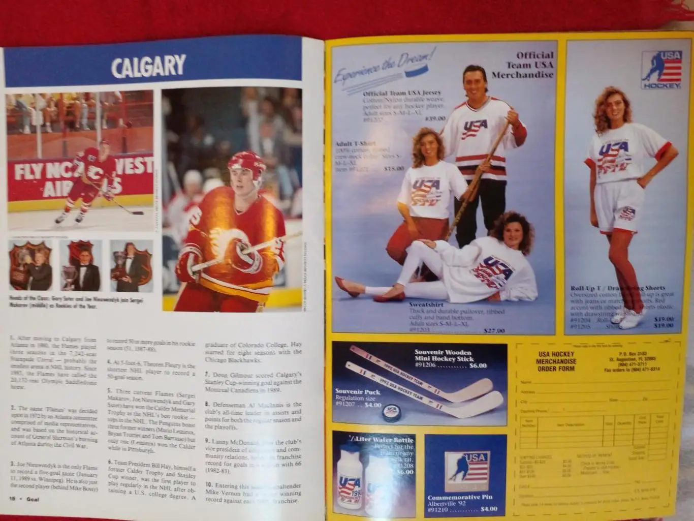 Журнал GOAL Хоккей НХЛ 1991 Бретт Халл 2