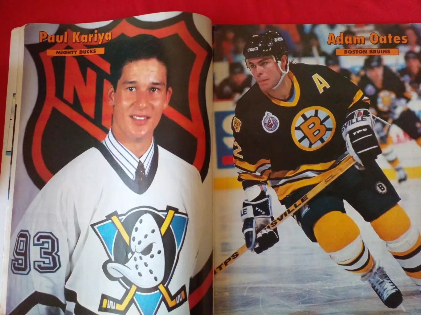 Хоккей Справочник-Ежегодник PRO HOCKEY НХЛ 1993-94 2