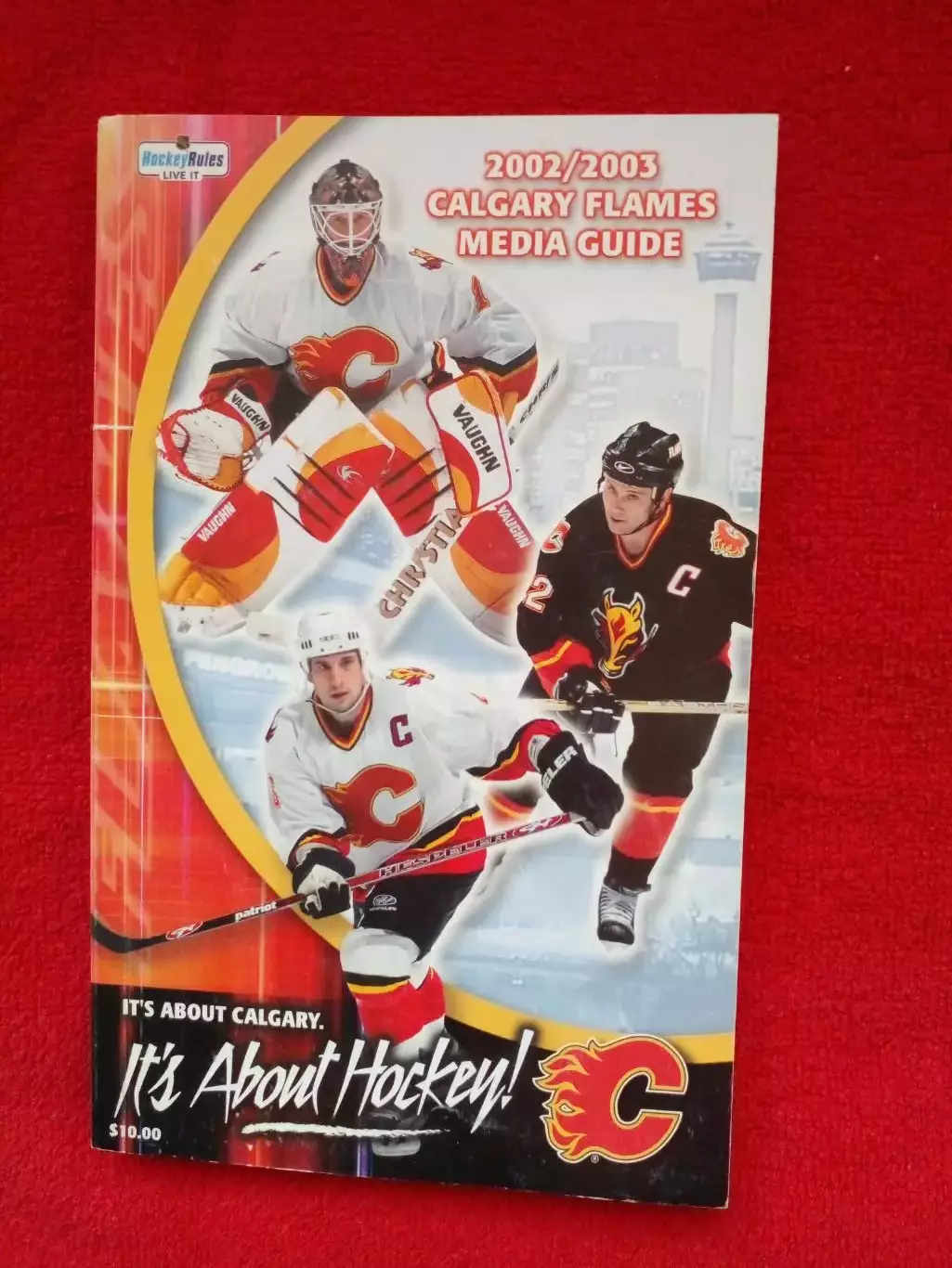 Клубный справочник Калгари Флэймз 2002-03 Хоккей НХЛ