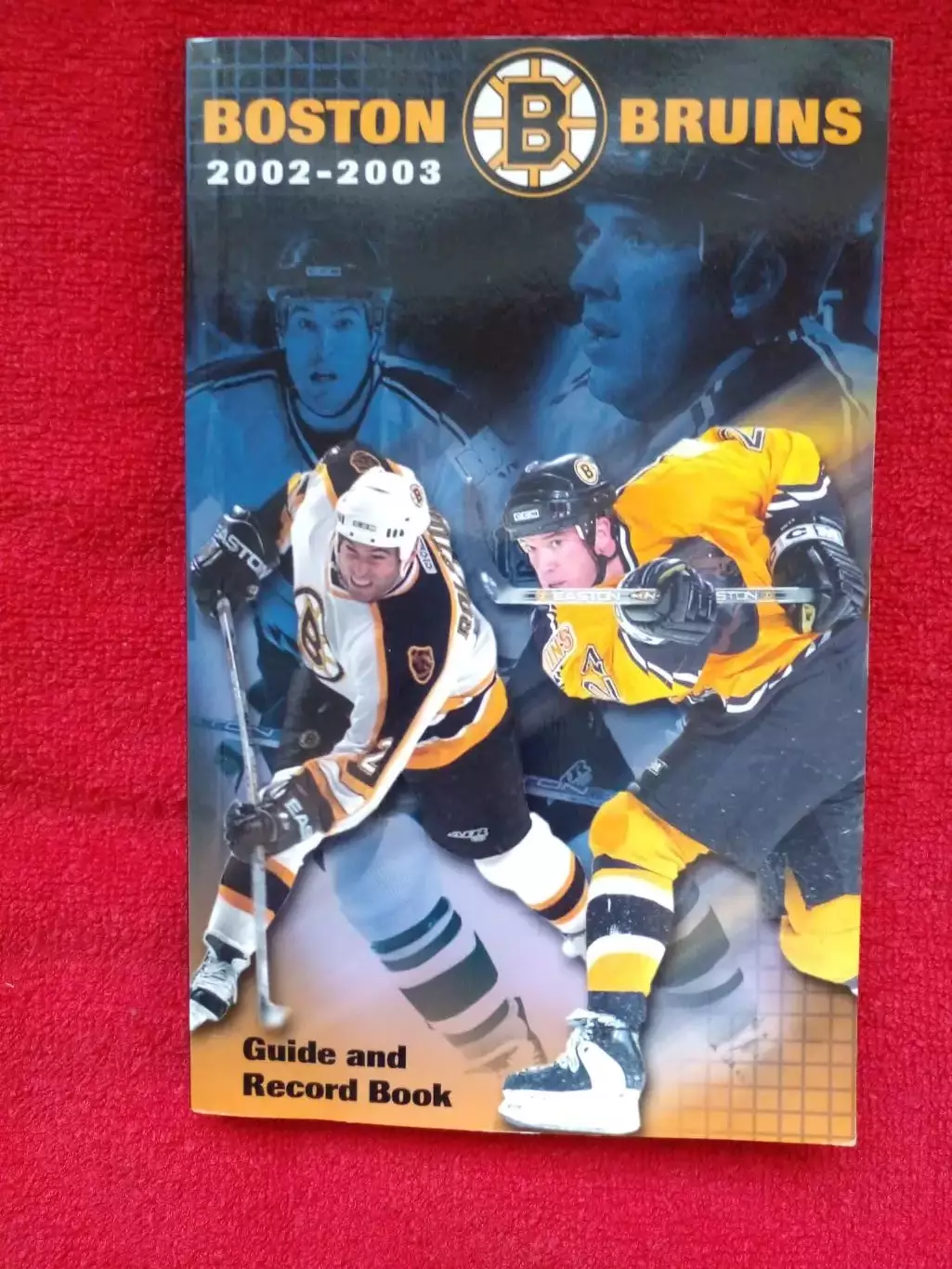 Клубный справочник Бостон Брюинз 2002-03 Хоккей НХЛ