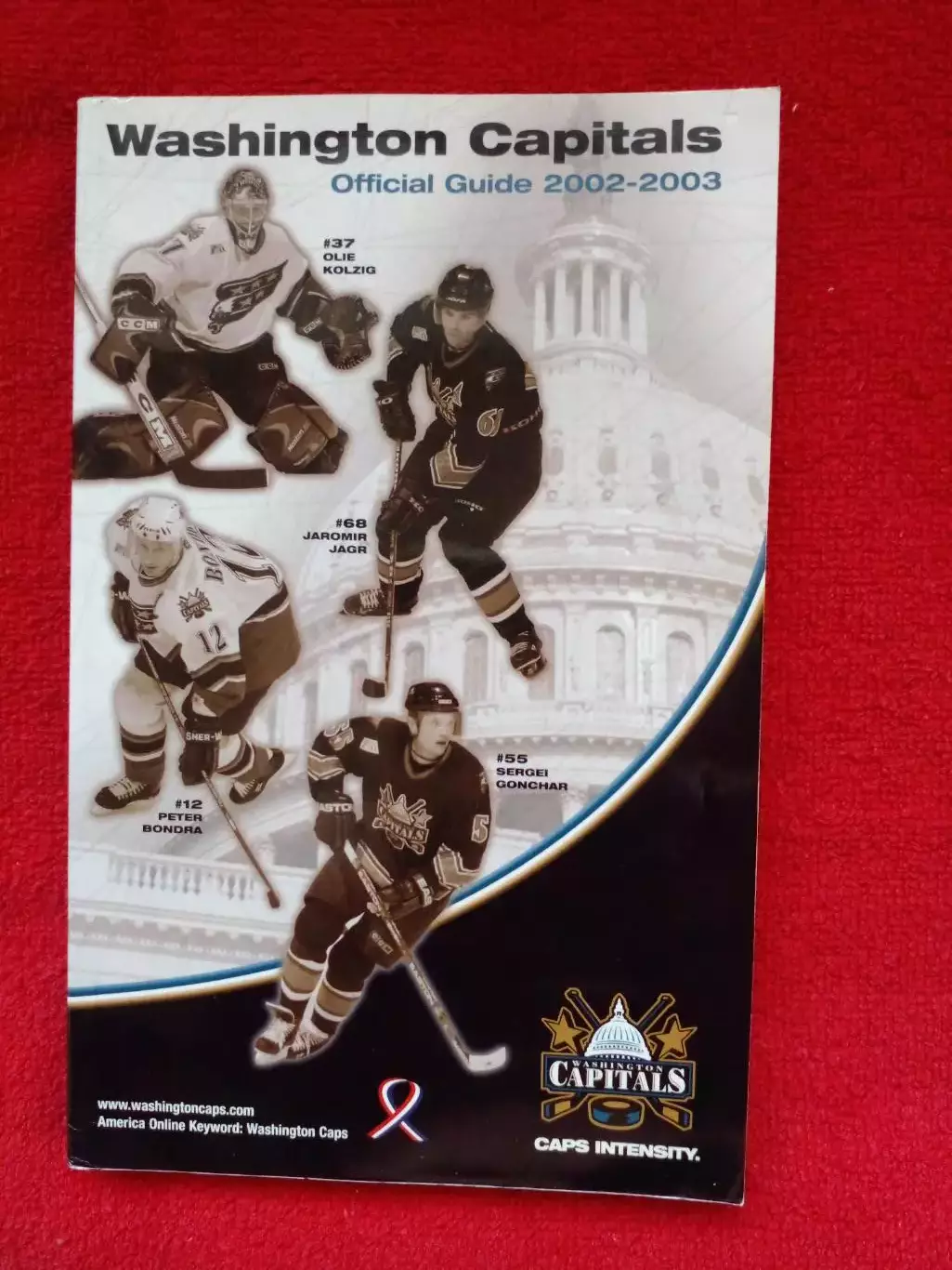 Клубный справочник Вашингтон Кэпиталз 2002-03 Хоккей НХЛ