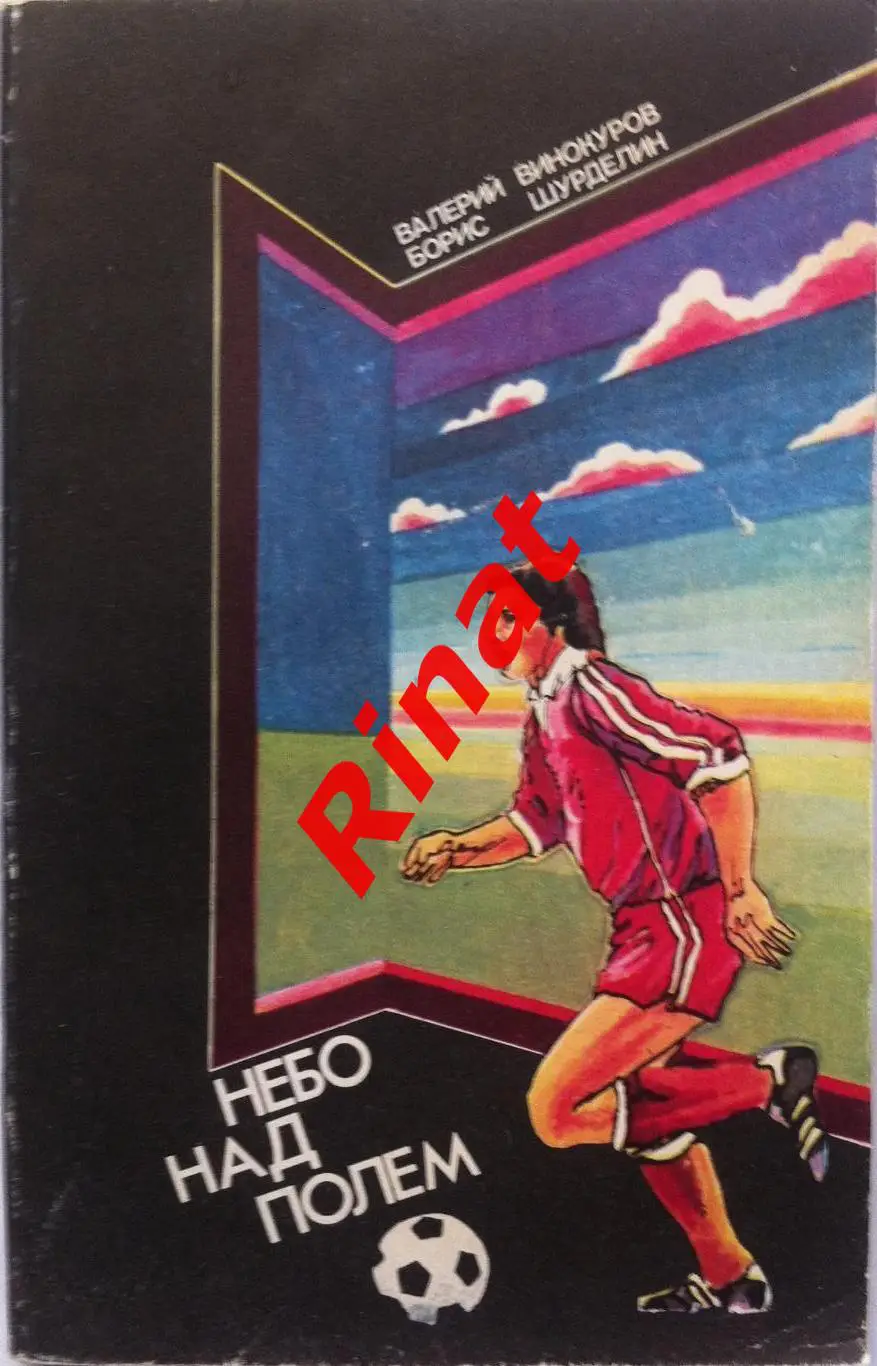 Винокуров Валерий, Шурделин Борис. Небо над полем