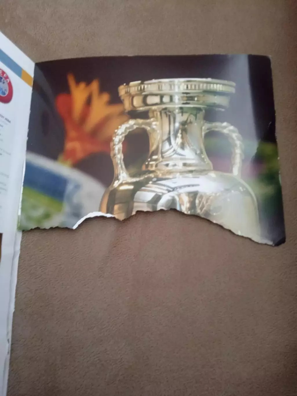 ЕВРО-2012(Англия,Франция,Германия,Италия,Украина ,Испания,Россия,Польша).. 2