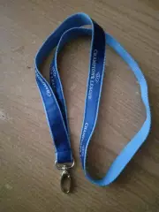 Футбол.Лента для аккред.пропусков-Лига Чемпионов-2019..