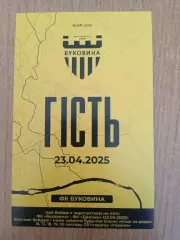 Украина.Кубок.Буковина-Динамо Киев-23.04.2025...