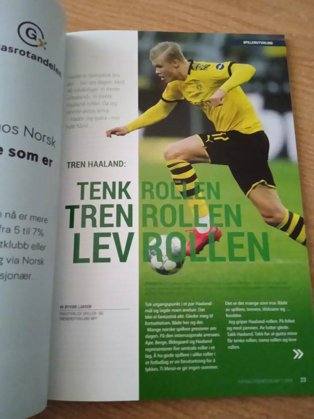 Футбол.Норвегия-2020(N-2) 2