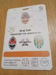 Шахтер-Карпаты Львов-22.02.2026