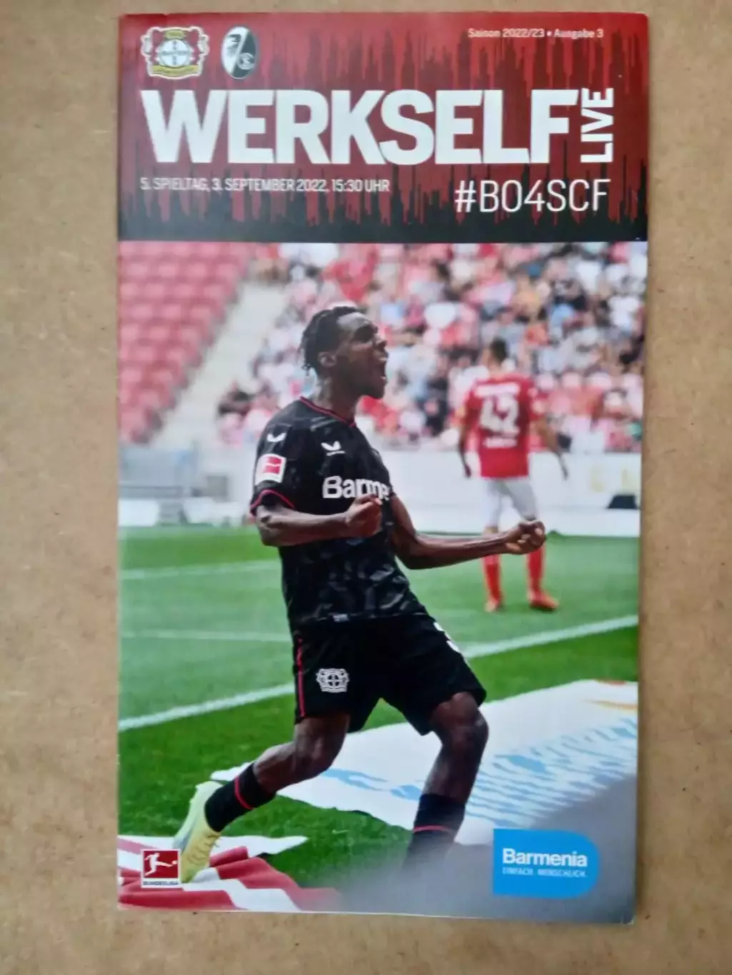 Германия.Байер-Фрайбург-3.09.2022(постер)