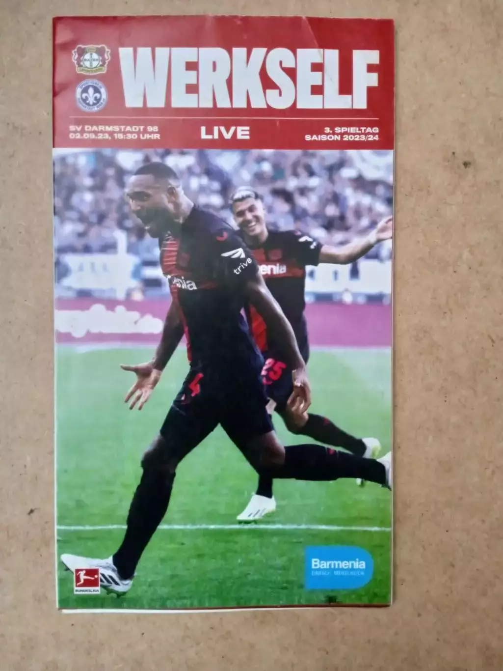 Германия.Байер-Дармштадт-2.09.2023(постер)