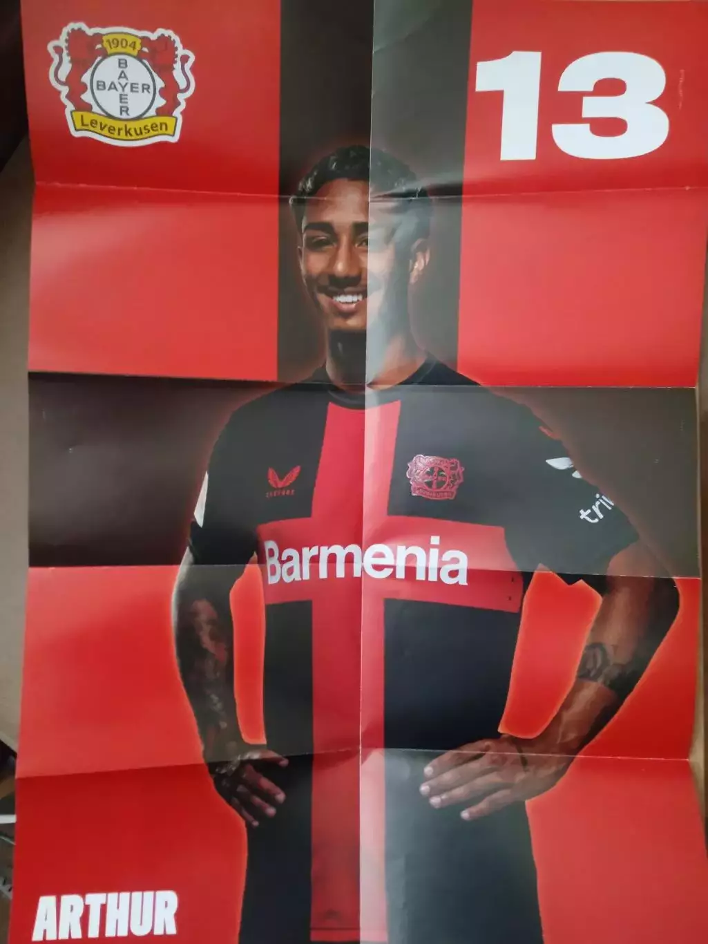 Германия.Байер-Дармштадт-2.09.2023(постер) 1