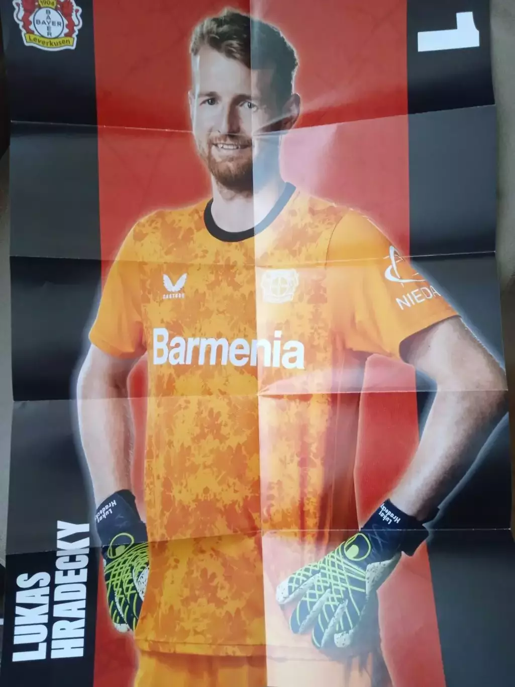 Германия.Байер-Фрайбург-21.12.2024(постер) 1