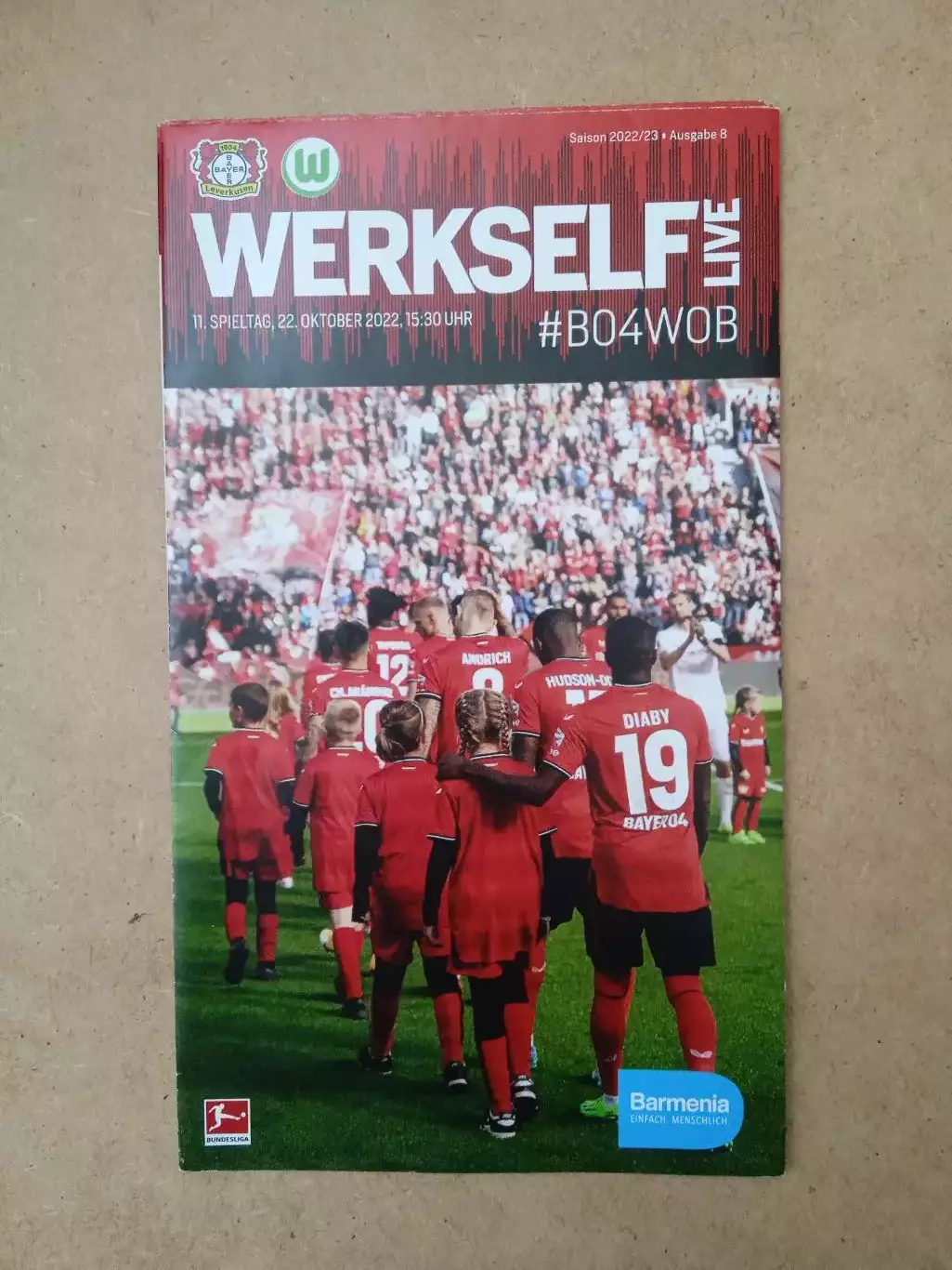 Германия.Байер-Вольфсбург-22.10.2022(постер)