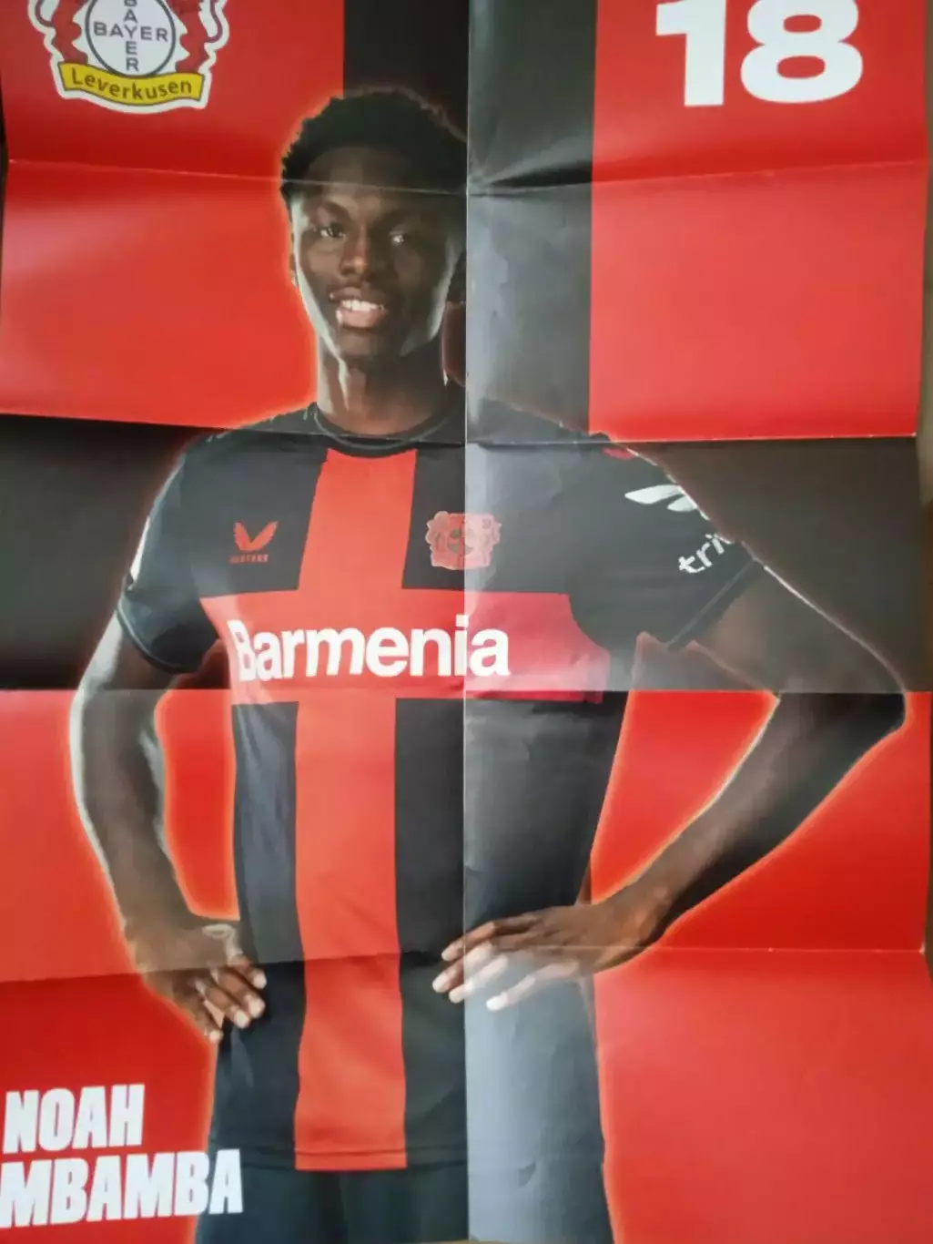 Германия.Кубок.Байер-Падерборн-6.12.2023(постер) 1