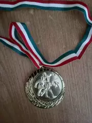 Футбол.Турнир.Венгрия-2003(10-ый Флегрийс-Кап)