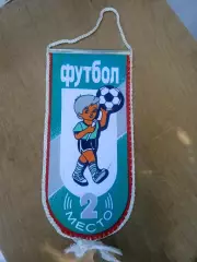 Футбол.Вицчемпион,2место.