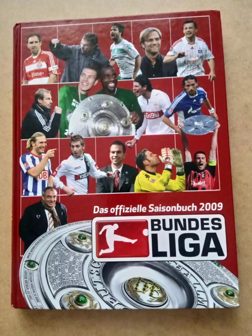 Германия.Бундеслига-2009.
