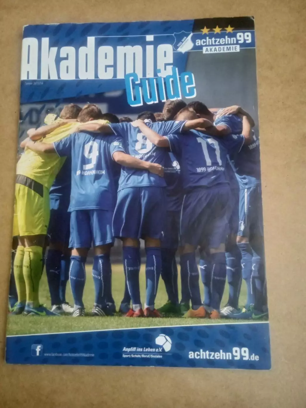 Германия.Хоффенхайм-2013/2014(Академия)
