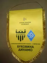 Футбол.Вымпел.Буковина-Динамо Киев-21.04.2026.Кубок.