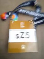 Грузия-Украина-28.09.2026