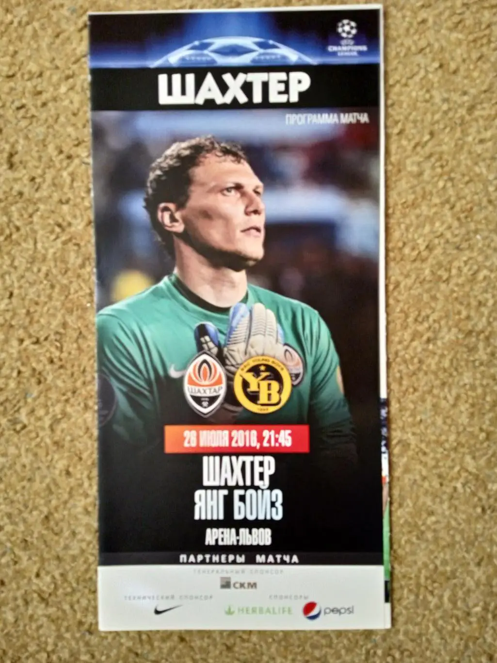 Шахтер-Янг Бойз-26.07.2016