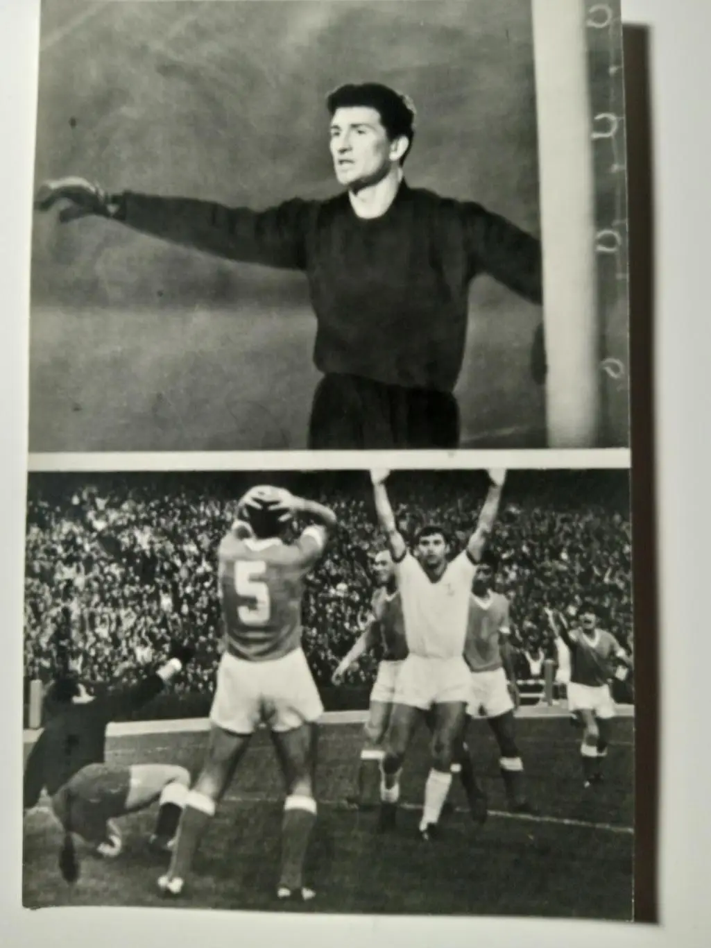 футбол.Динамо Киев(В.Банников/А.Бышовец)