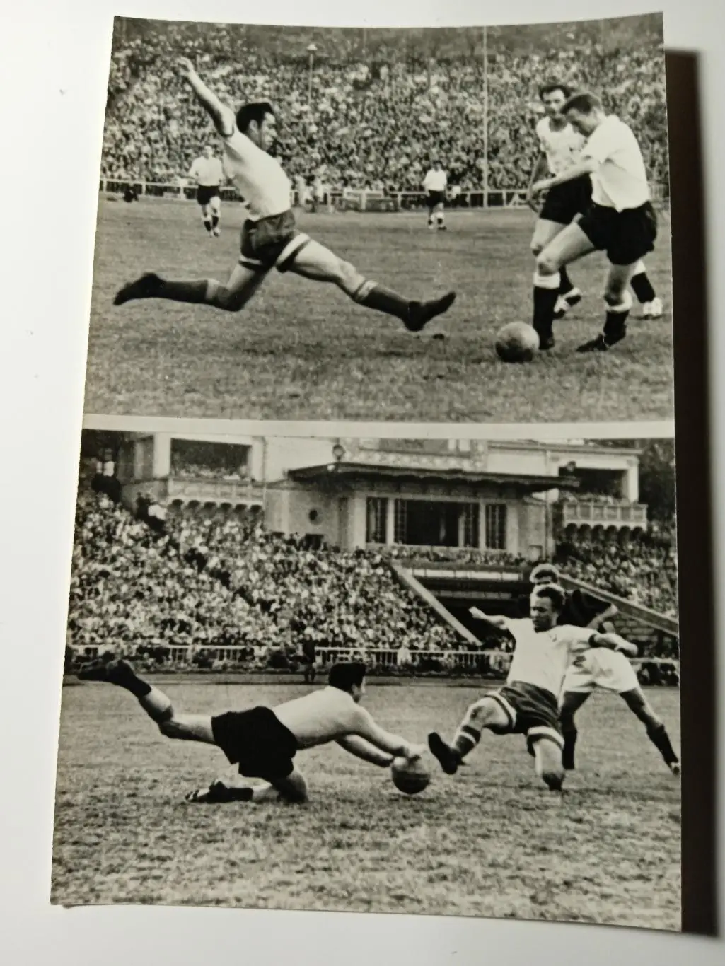 футбол.Динамо Киев(В.Голубев/М.Коман)