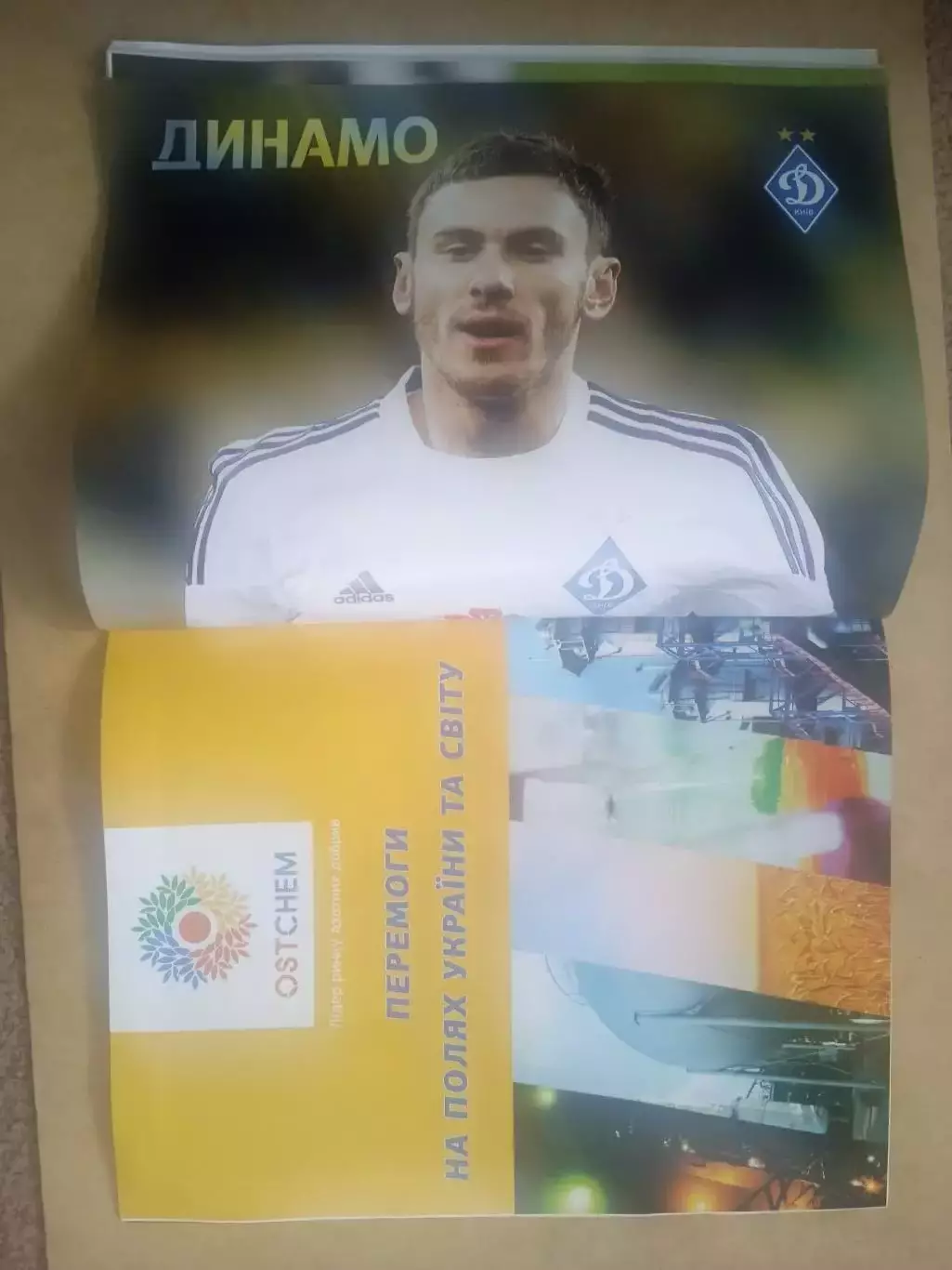 Динамо Киев -2015(N-2/79)Динамо Киев -Фиорентина/Эвертон. 1