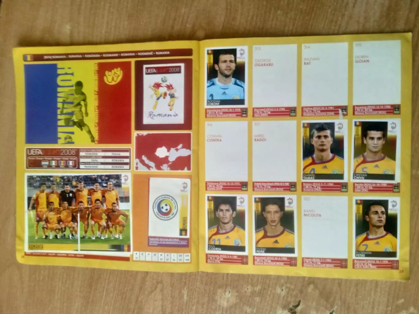 Панини.ЕВРО-2008 1