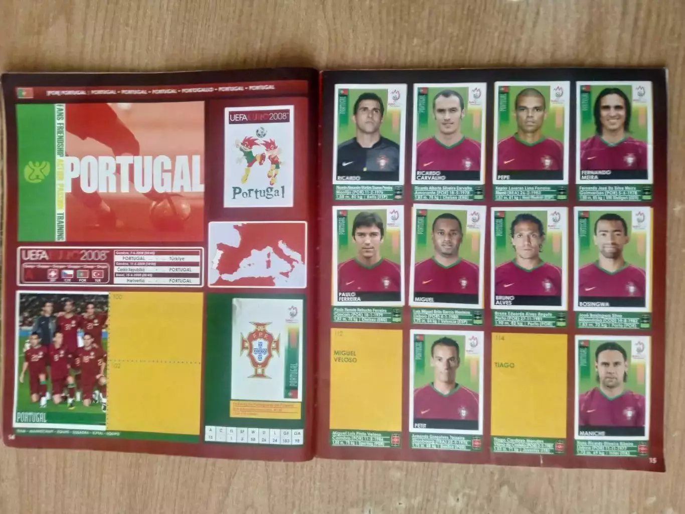 Панини.ЕВРО-2008 3